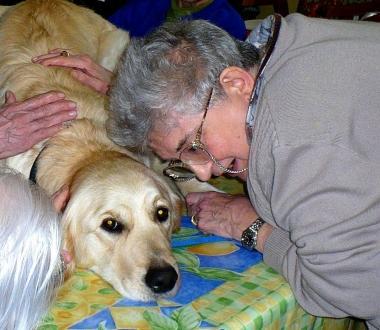 Dalla pet therapy ai corsi di lingua