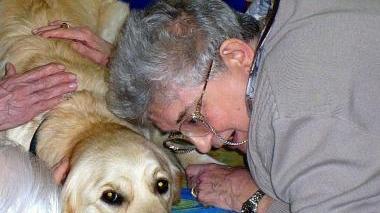 Dalla pet therapy ai corsi di lingua