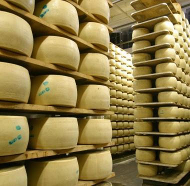 <b>PIGNORATE </b>Migliaia di caciotte dal caseifico di Stribugliano   