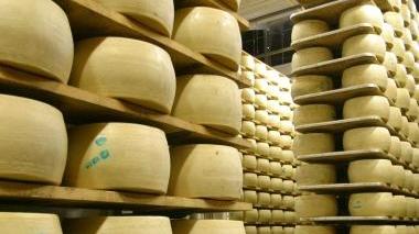 <b>PIGNORATE </b>Migliaia di caciotte dal caseifico di Stribugliano