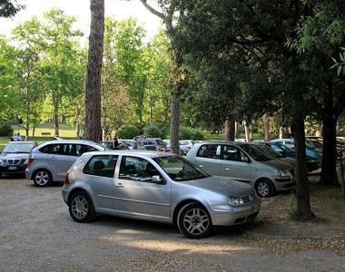 Niente multe alle auto in sosta sotto i pini
