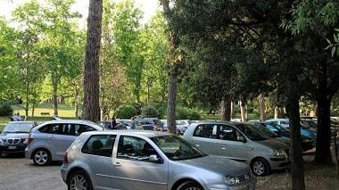 Niente multe alle auto in sosta sotto i pini
