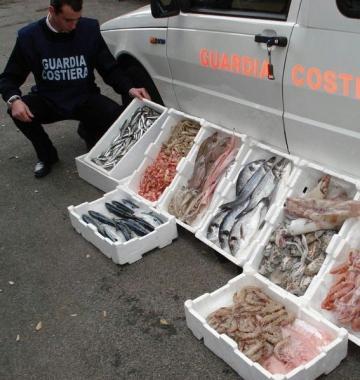 <b>PESCE.</b> Un sequestro della Capitaneria 