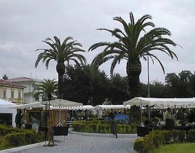 <b>ANTIQUARI.</b> Il mercato in piazza Dante     