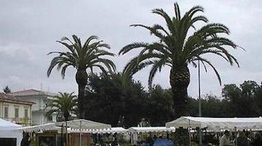 <b>ANTIQUARI.</b> Il mercato in piazza Dante