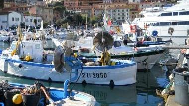 <b>ANCORATE.</b> Barche da pesca al molo di Porto Santo Stedano