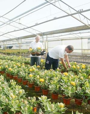 Abilitazione agrotecnici Aperte le iscrizioni
