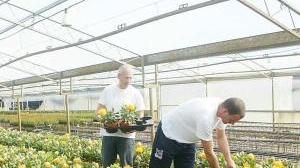 Abilitazione agrotecnici Aperte le iscrizioni