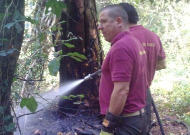 <b>DOMATO.</b> I vigili del fuoco al lavoro sullincendio 