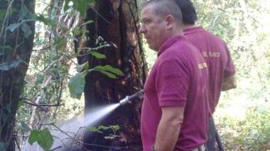<b>DOMATO.</b> I vigili del fuoco al lavoro sull’incendio