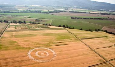 Misterioso cerchio nel grano in un campo a Braccagni