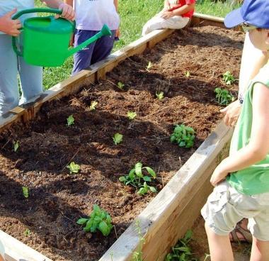 Bambini all orto didattico (Vip)    