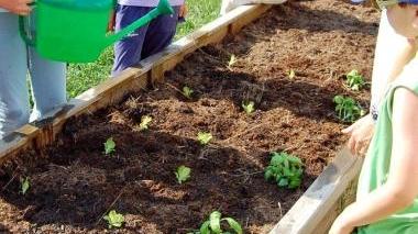 Bambini all’ orto didattico (Vip)