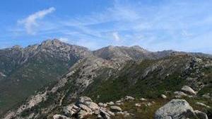 Biowatching dice no alla proposta di Barbetti