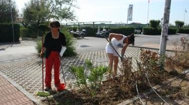 <b>PULIZIA.</b> I locali al lavoro per rimettere in sesto le aiuole