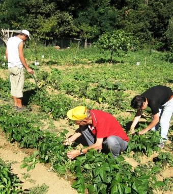 Gli orti sociali sono al centro del progetto   