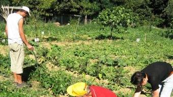 Gli orti sociali sono al centro del progetto