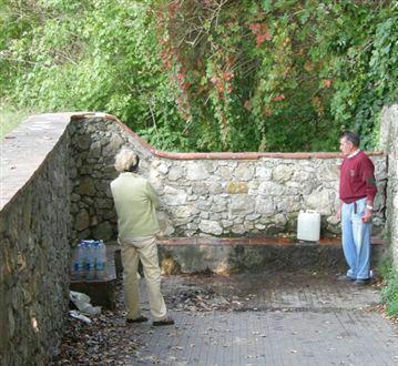 La Polla del Cane a Camigliano   