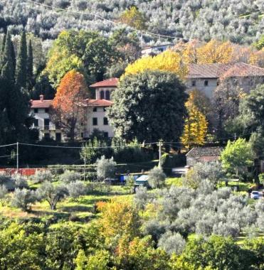 La fattoria Spalletti a Lucciano 