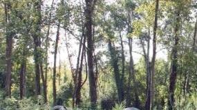 «Versiliana Amica mia» domenica lancia Pulire il parco