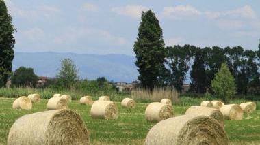 <b>rotoballe.</b> Nella campagna di Castiglione