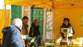 Pinzimonio in piazza con cetrioli e carote al mercato agricolo