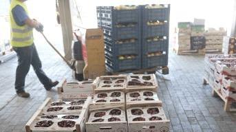 Un operaio al lavoro