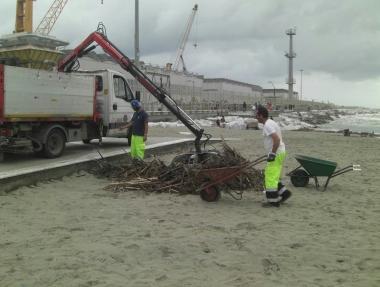 <b>LA RUSPA.</b> Mezzi al lavoro per liberare la spiaggia dalle sterpaglie 