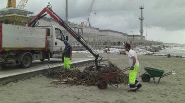 <b>LA RUSPA.</b> Mezzi al lavoro per liberare la spiaggia dalle sterpaglie