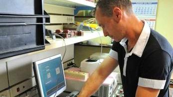 Lavoro al computer. In alto, foto di gruppo e un circuito elettronico
