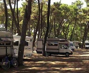 <b>CAMPERISTI.</b> Al centro della guerra a Principina 
