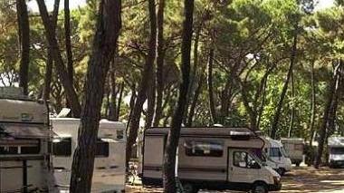 <b>CAMPERISTI.</b> Al centro della guerra a Principina