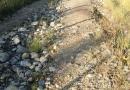 <strong>DISSESTATA.</strong> Strada a Montebuono