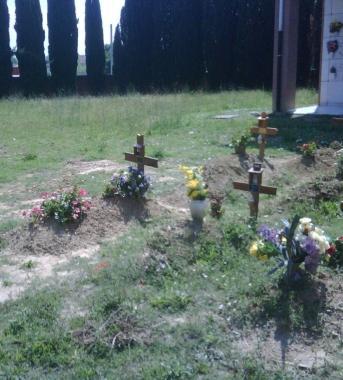 Erbacce intorno alle tombe