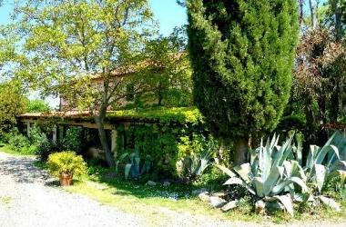 <b>AZIENDA AGRICOLA </b>&Egrave; a Murci di Scansano   
