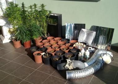 La droga e lattrezzatura sequestrata nella cantina 