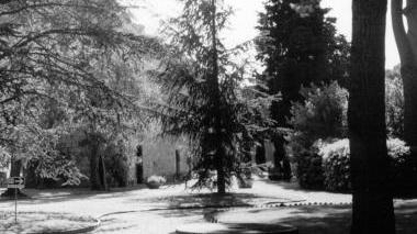 Il parco termale di Uliveto
