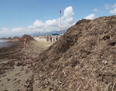 <b>POLEMICA.</b> Il lavarone accumulato in spiaggia a Marina    