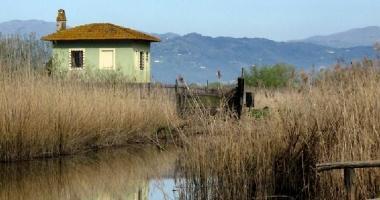 Uno scorcio del Padule di Fucecchio 