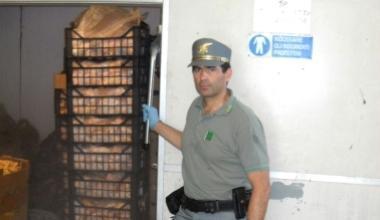 Maxisequestro di carne illegale: in una cella frigo trovati 220 esemplari "protetti"