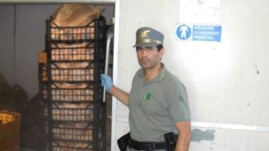 Maxisequestro di carne illegale: in una cella frigo trovati 220 esemplari "protetti"