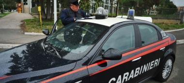 <b>LINTERVENTO.</b> Dei carabinieri di Pitigliano 