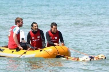 A Castiglione i bagnini a quattro zampe
