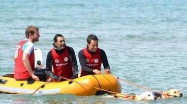 A Castiglione i bagnini a quattro zampe