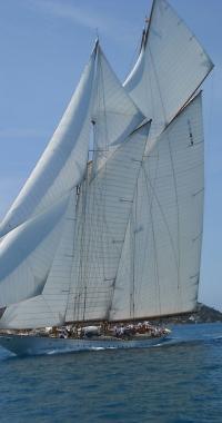 <b>SAILING WEEK</b> Il rientro in porto di Elena         