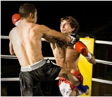 <b>SHOW. </b> Stasera al Pala Macchia grande spettacolo di arti marziali          