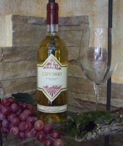 Vermentino con cena al chiaro di Luna a villa Malaspina