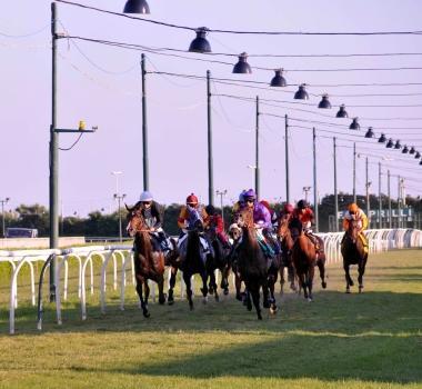 <b>VIA!. </b> Cavalli in pista al Caprilli    