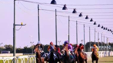 <b>VIA!. </b> Cavalli in pista al Caprilli