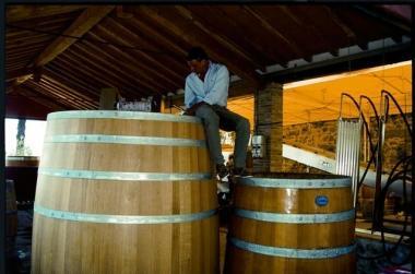 Una delle cantine della Tenuta di Valgiano